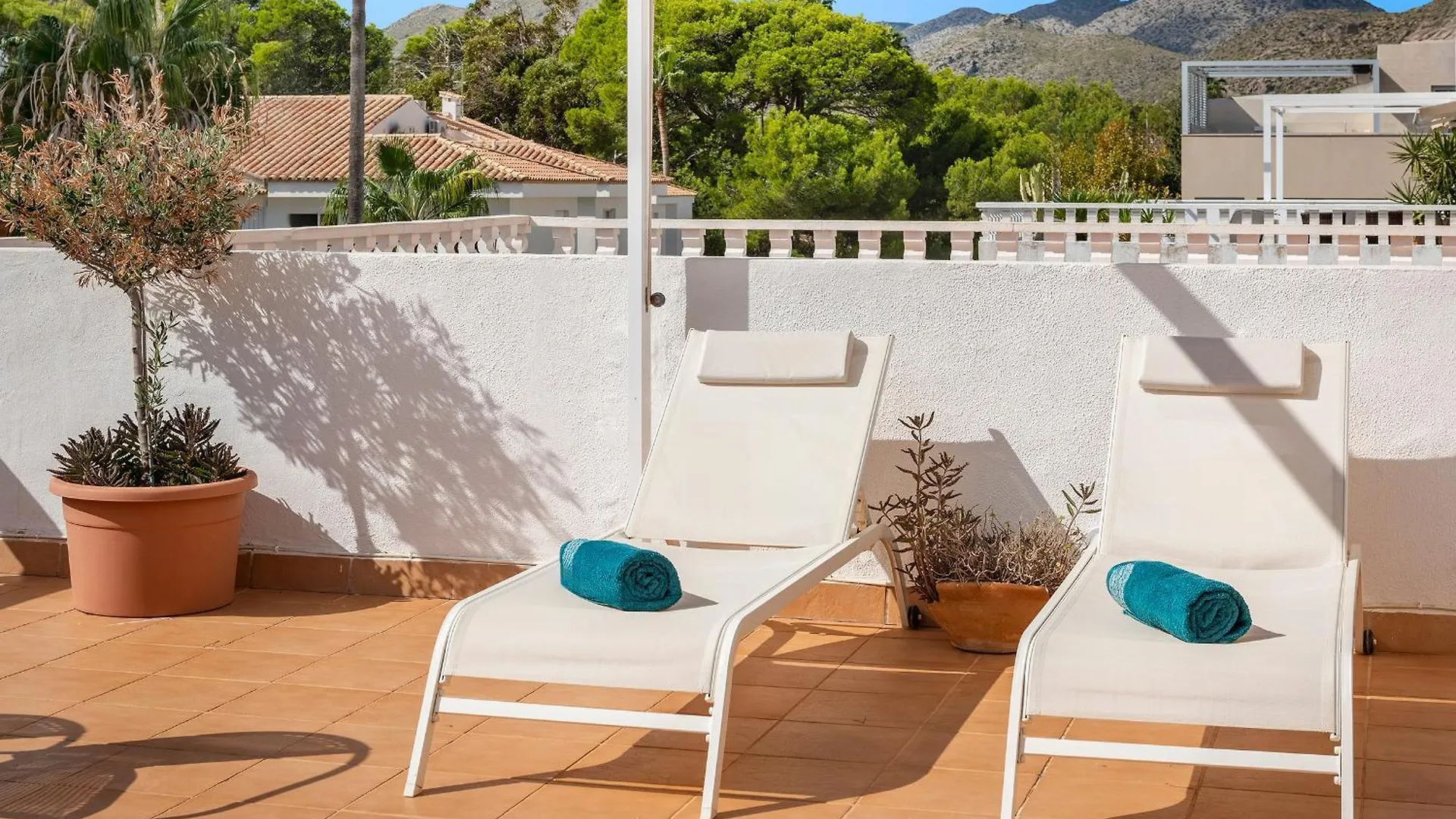 Apartment Franco Pollenca